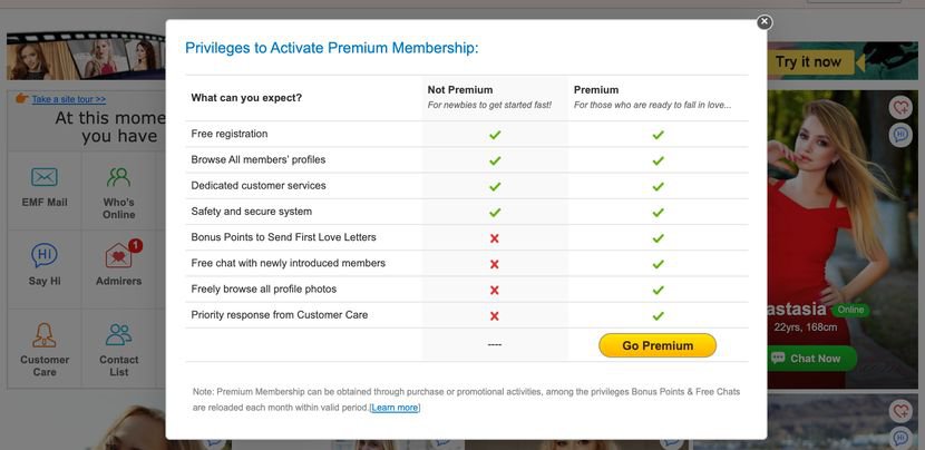 daterussianbeauty features